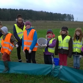 Kinder beim Kröten sammeln am Amphibienzaun