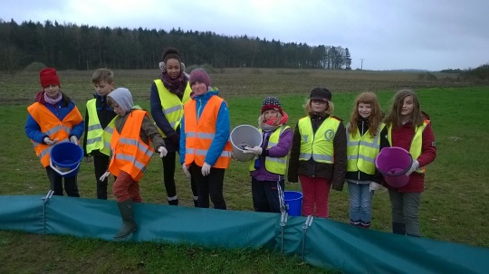 Kinder beim Kröten sammeln am Amphibienzaun