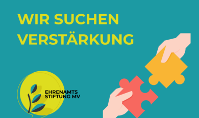 Website Stellenausschreibung Assistenz