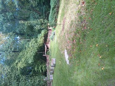 1000004228 © Streuobstwiese Bild